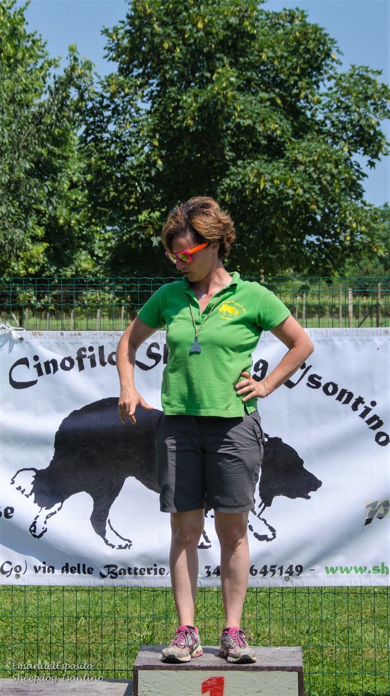 Gara di Sheepdog del Torneo Italo-Sloveno