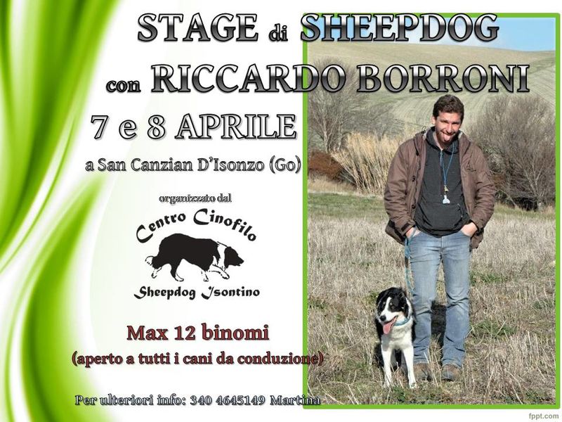 Stage di Sheepdog con Riccardo Borroni