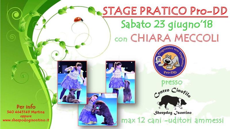 Stage di Dog Dance con Chiara Meccoli