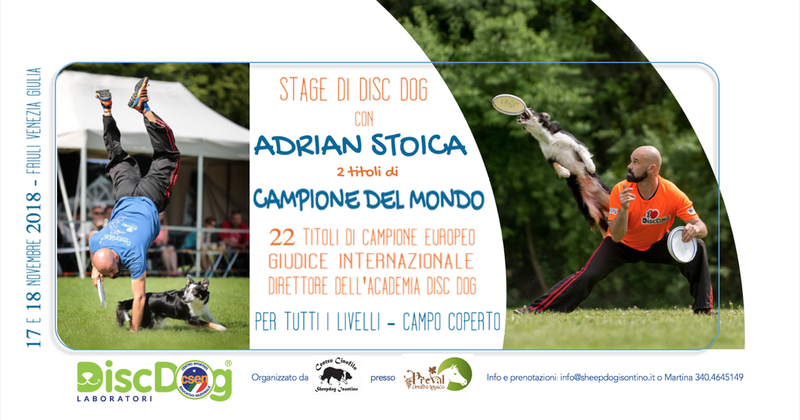 Adrian Stoica in Friuli: stage di Disc Dog