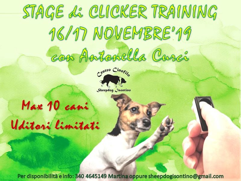 Stage di Clicker Training