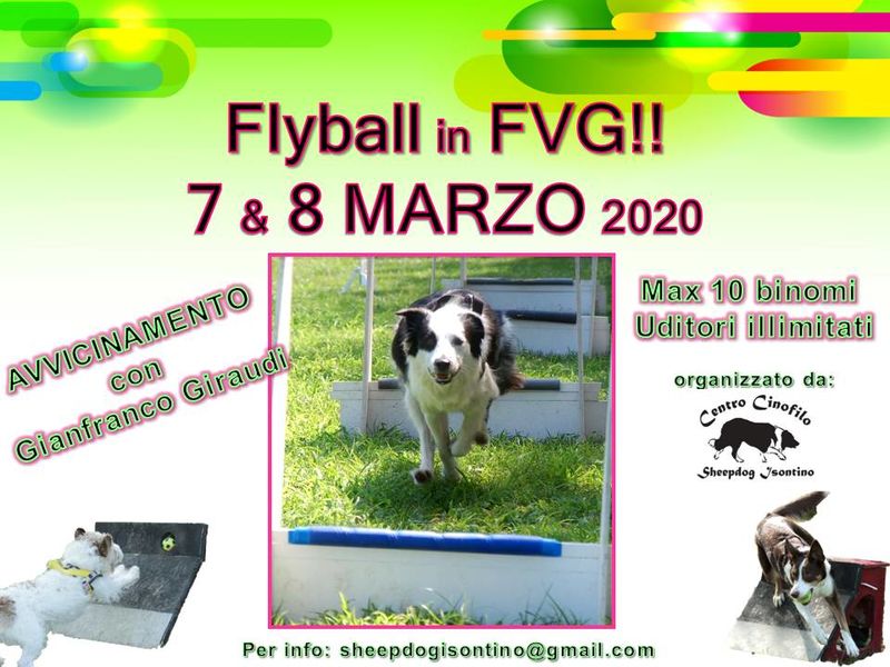 Stage di Flyball con Giraudi Gianfranco