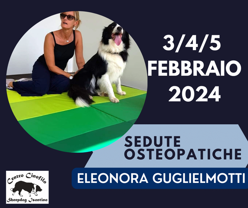 Sedute osteopatiche con Elenora Guglielmotti