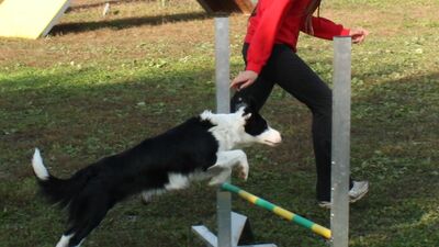 img_2398.jpg