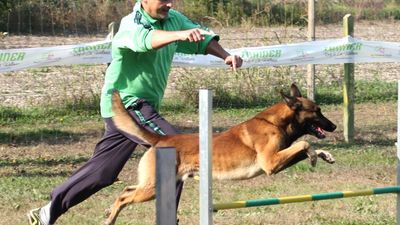Gara amichevole di Agility 1° novembre 2011