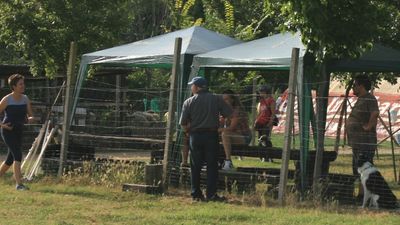 img_7158.jpg