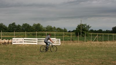 img_7208.jpg