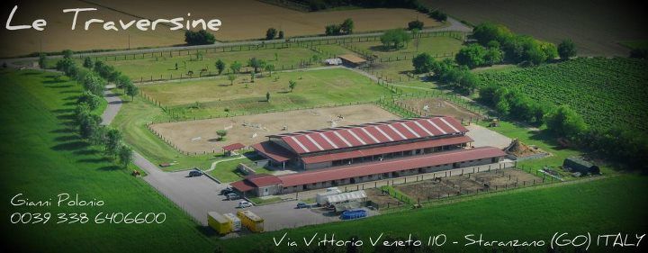 Gara amichevole di Agility