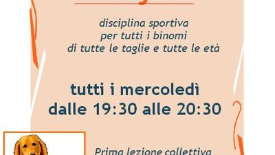 Aprono i corsi di Rally'O