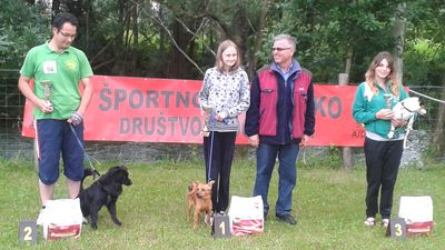 Gara ufficiale di Agility a Ajducina