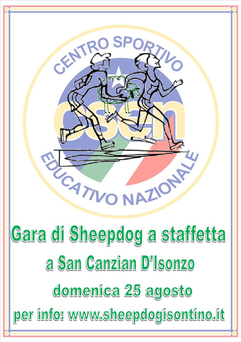 Gara di Sheepdog a 