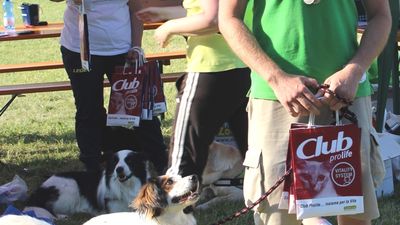 Gara Agility AIA a Palmanova