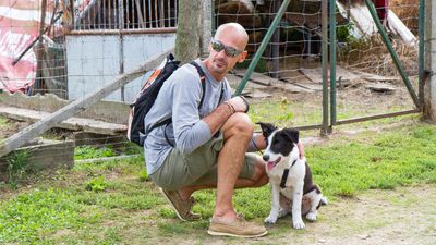 sheepdog isontino 2013-272.jpg