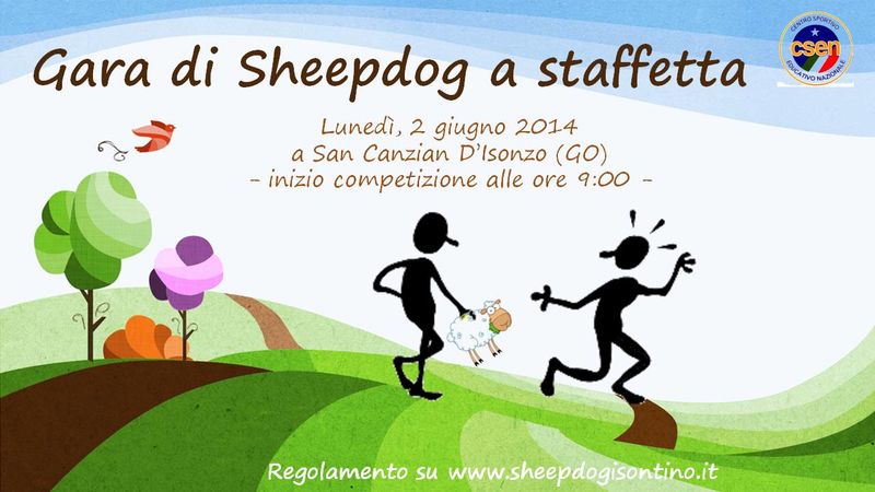 Gara di Sheepdog a staffetta