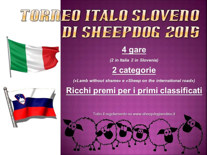 Torneo italo-sloveno di Sheepdog