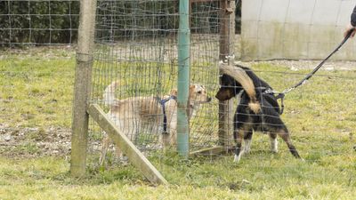 150215_socializziamo2_029.jpg