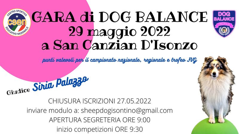 Gara di Dog Balance