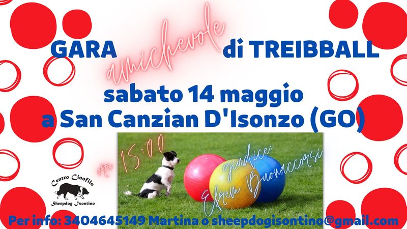 Gara amichevole di Treibball