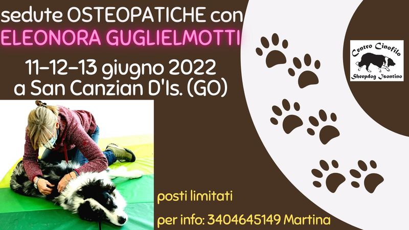 Sedute osteopatiche