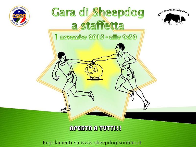 Gara di Sheepdog a staffetta