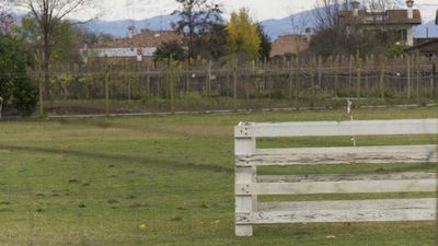 151122_torneo regionale staffetta_001.jpg