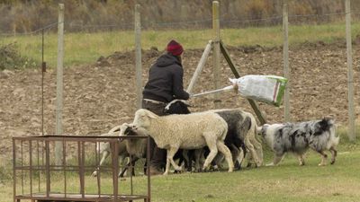 151122_torneo regionale staffetta_129.jpg