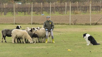 151122_torneo regionale staffetta_106.jpg