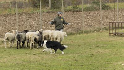 151122_torneo regionale staffetta_089.jpg