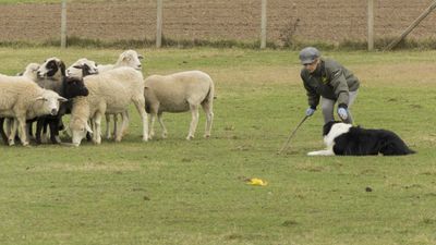 151122_torneo regionale staffetta_108.jpg