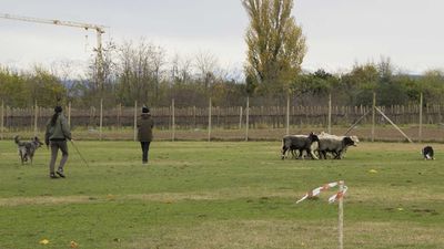 151122_torneo regionale staffetta_073.jpg