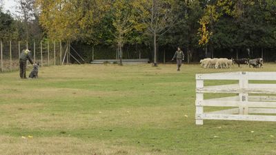 151122_torneo regionale staffetta_059.jpg