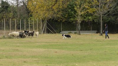 151122_torneo regionale staffetta_023.jpg