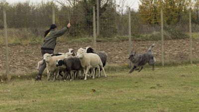 151122_torneo regionale staffetta_066.jpg