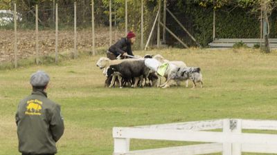 151122_torneo regionale staffetta_127.jpg