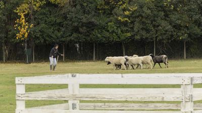151122_torneo regionale staffetta_051.jpg