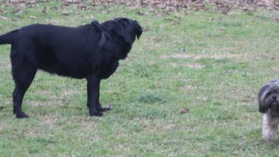 img_8209.jpg