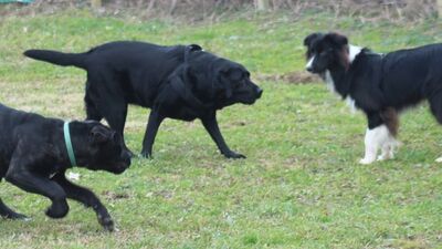 img_8179.jpg