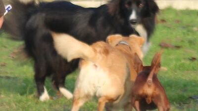 img_7806.jpg