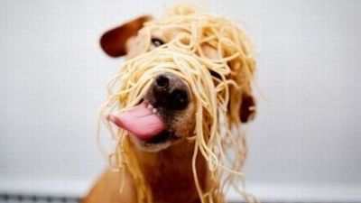 PRANZO SOCIALE