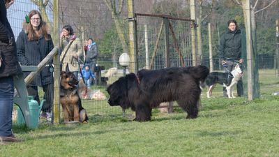 dsc_0484.jpg