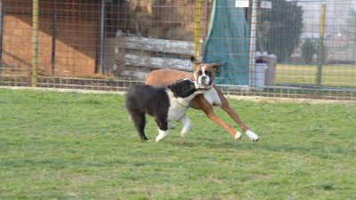 dsc_0773.jpg