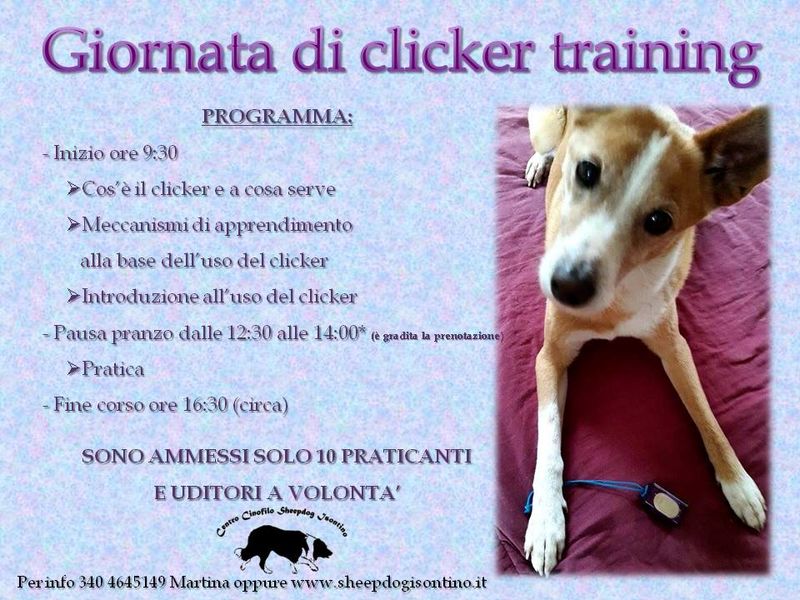 Giornata di clicker training