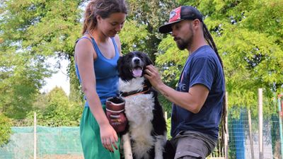 Stage di DiscDog