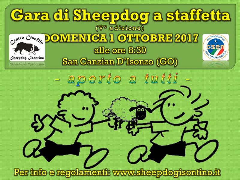Gara di Sheepdog a staffetta Csen
