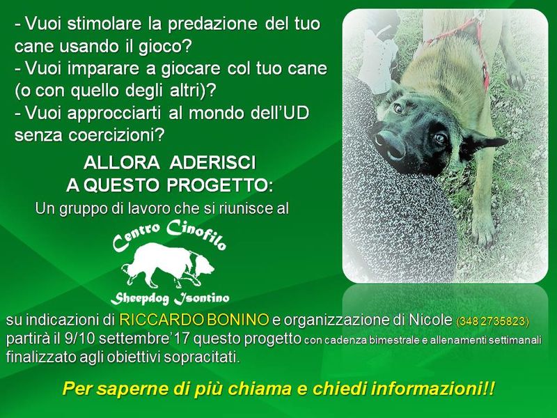 Gruppo di lavoro in preparazione all'UD