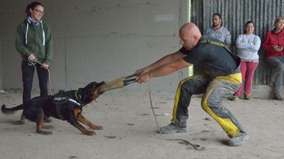 Gruppo di lavoro UD (I)