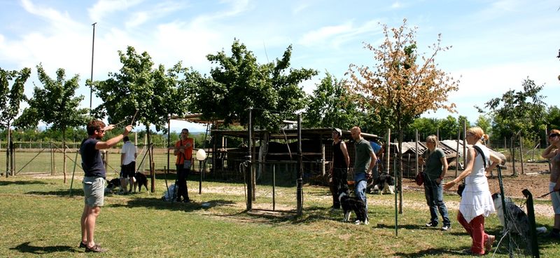 Stage sheepdog con Riccardo Borroni