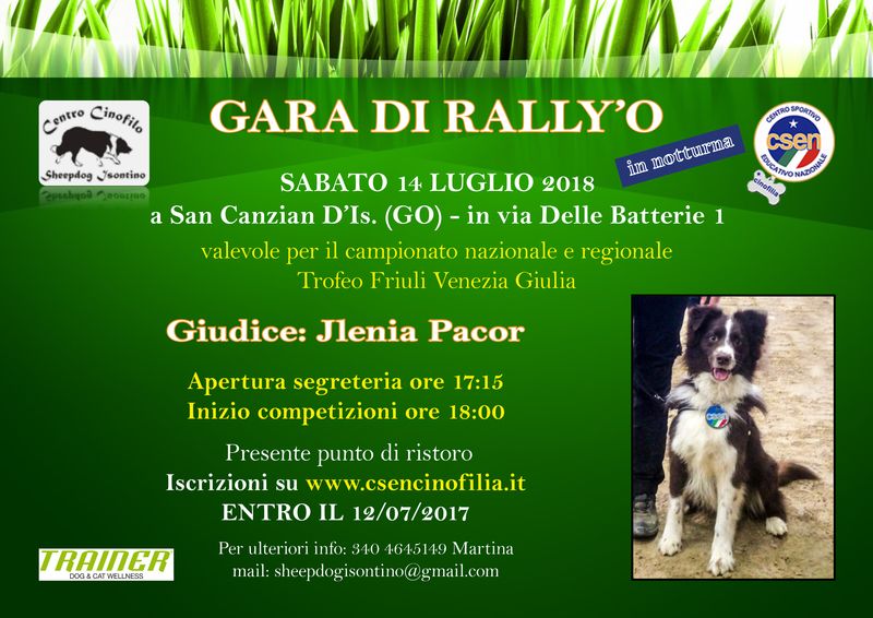 Gara di Rally'O Csen