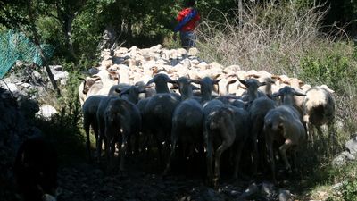 Al Pascolo con Don a Ceroglie