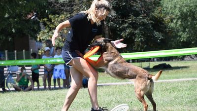Gara amichevole di Disc Dog